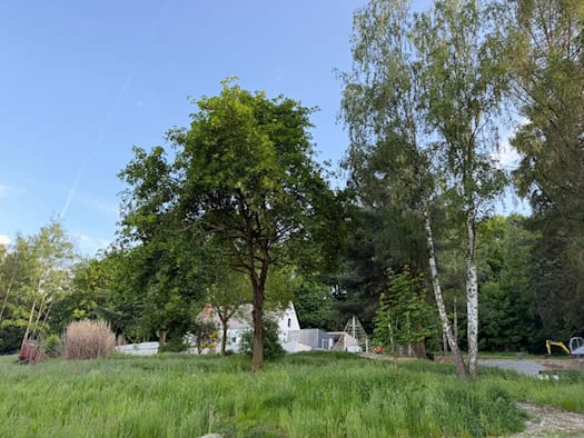 Foto: Grüne Bäume und Wiese im Vordergrund. Im Hintergrund sieht man bei blauen Himmel ein Haus, ein Spielplatz und einen kleinen Bagger.
