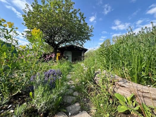 17 million gardens, countless plant species: the GartenDiv project at Leipzig University is researching how diverse Germany's green oases really are.