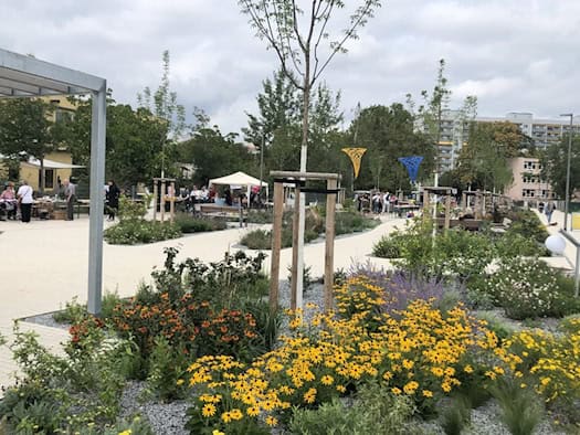 Die neugestaltete Lili-Elbe-Straße in Dresden-Johannstadt mit Grünanlagen, blühenden Blumenbeeten und Aufenthaltsbereichen im Jahr 2023.