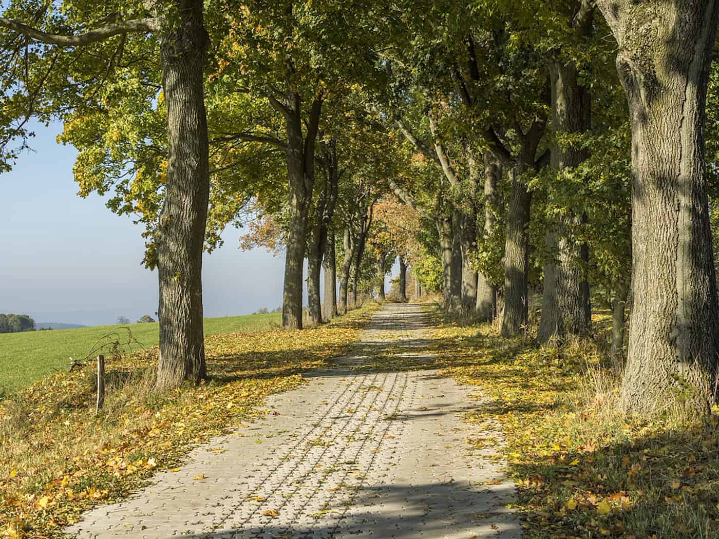 Tschechisches Erzgebirge: Wandern im ehemaligen Tagebau 