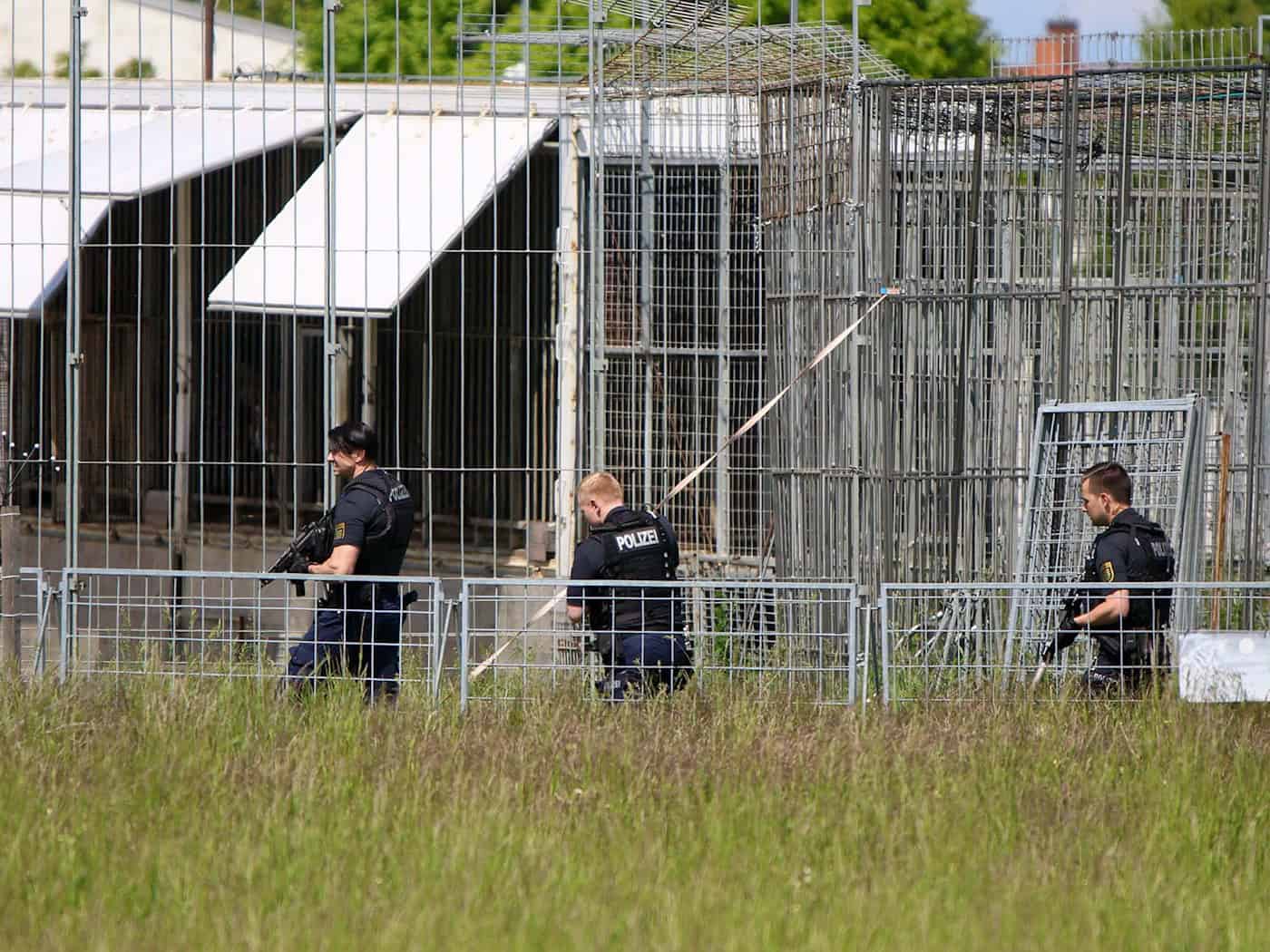 Peta calls for consequences after tiger outbreak