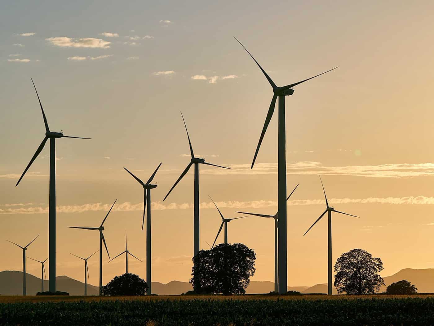 BSW lädt in Meißen zum Austausch über Windräder