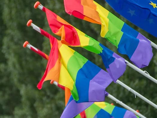 Mehrere bunte Regenbogenfahnen (Pride-Flags) wehen nebeneinander im Wind vor einem hellen, leicht bewölkten Himmel.