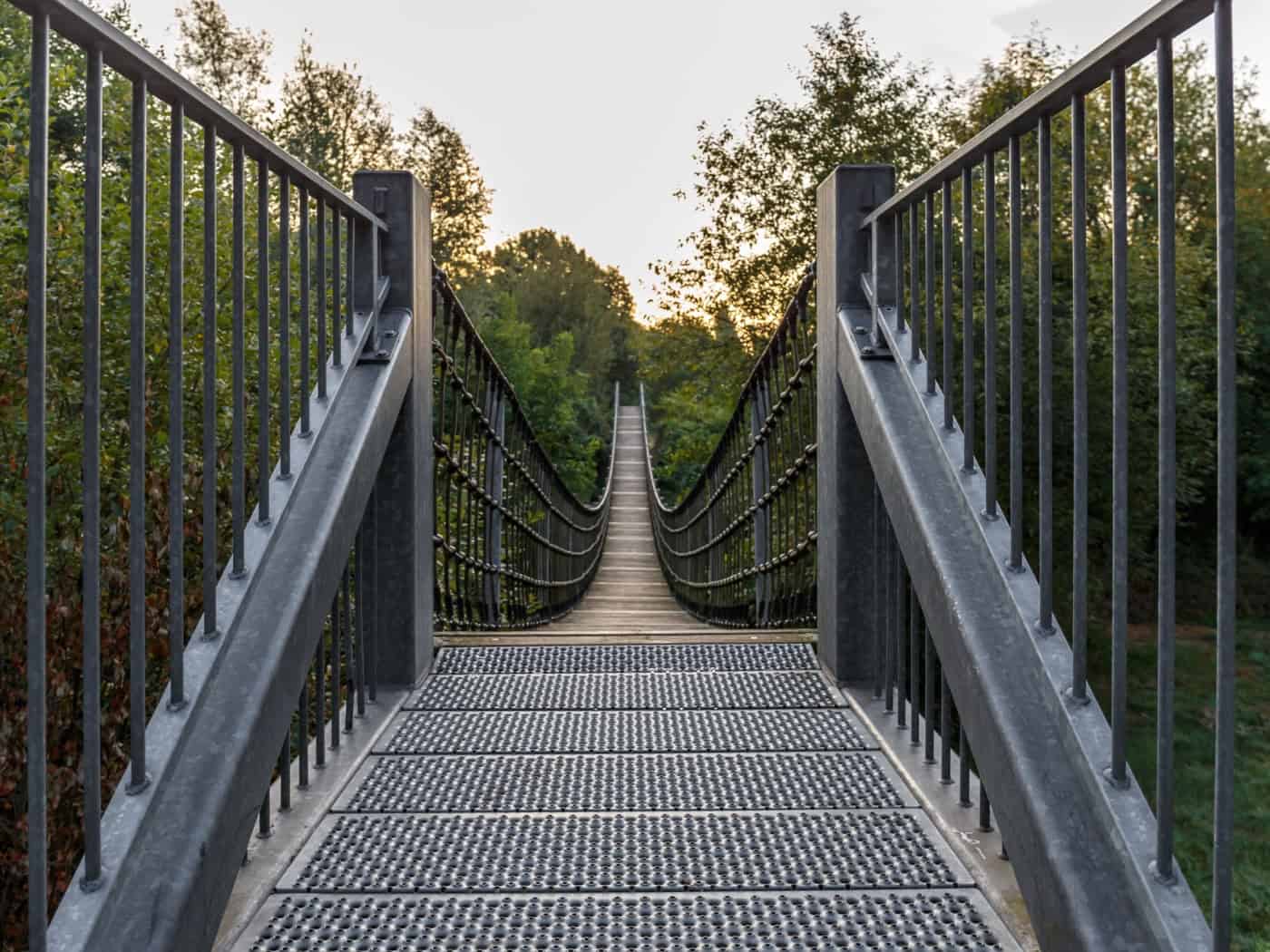 Zittau: Green Zitty und die Idee einer Landesgartenschau
