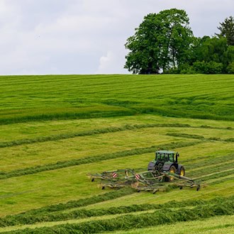 Regen sorgt für gutes Wachstum auf den Feldern