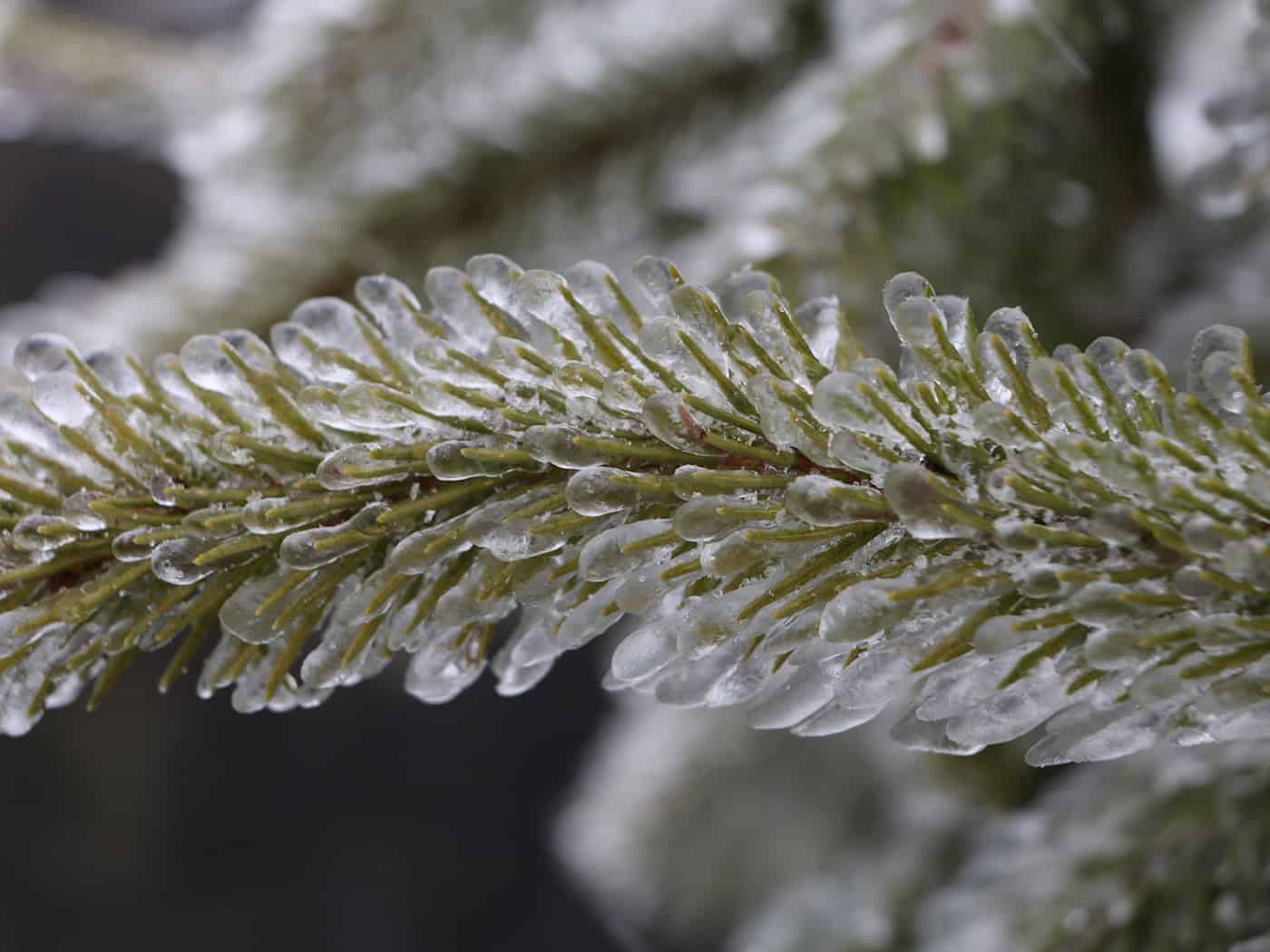 Schnee in den Bergen