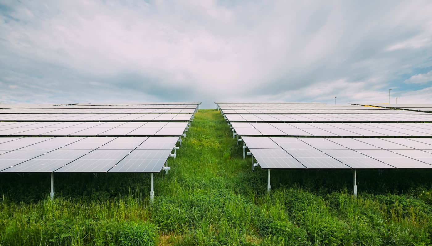 Nahaufnahme von zwei langen Reihen moderner Photovoltaik-Module auf einer grünen Wiese unter bewölktem Himmel im Solarpark Radeburger Straße.