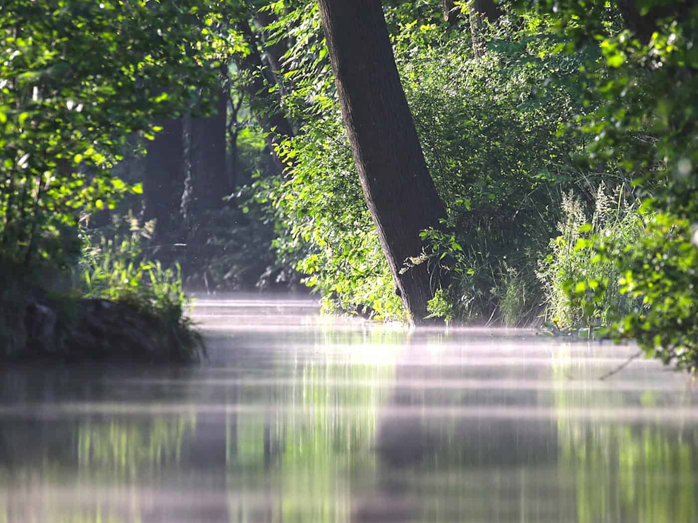 Vortrag im HAUS DER TAUSEND TEICHE: Naturschutz aus historischer Perspektive