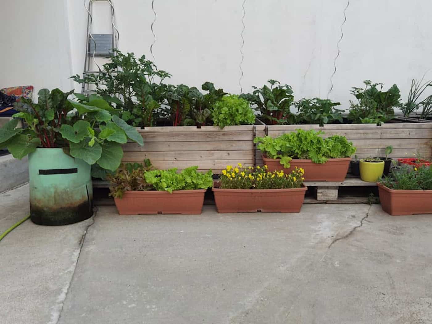 Green city life: Planter boxes like these could be more than just decoration in the future - they represent a new way of thinking in urban planning.