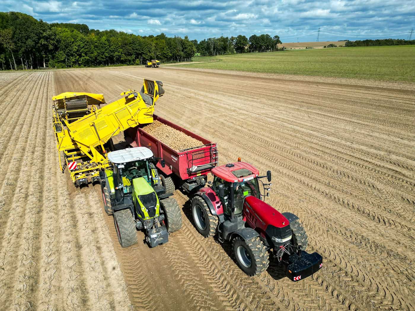 Study warns: EU agricultural reform hits Saxony particularly hard