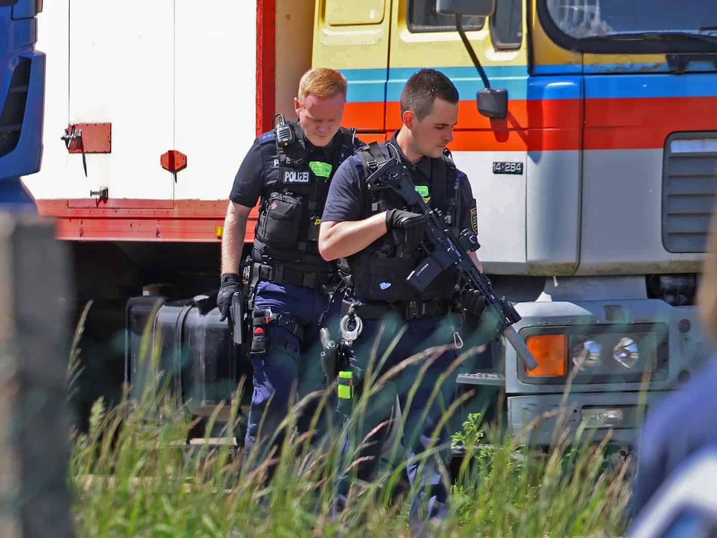 Tiger escapes near Leipzig - 73-year-old seriously injured