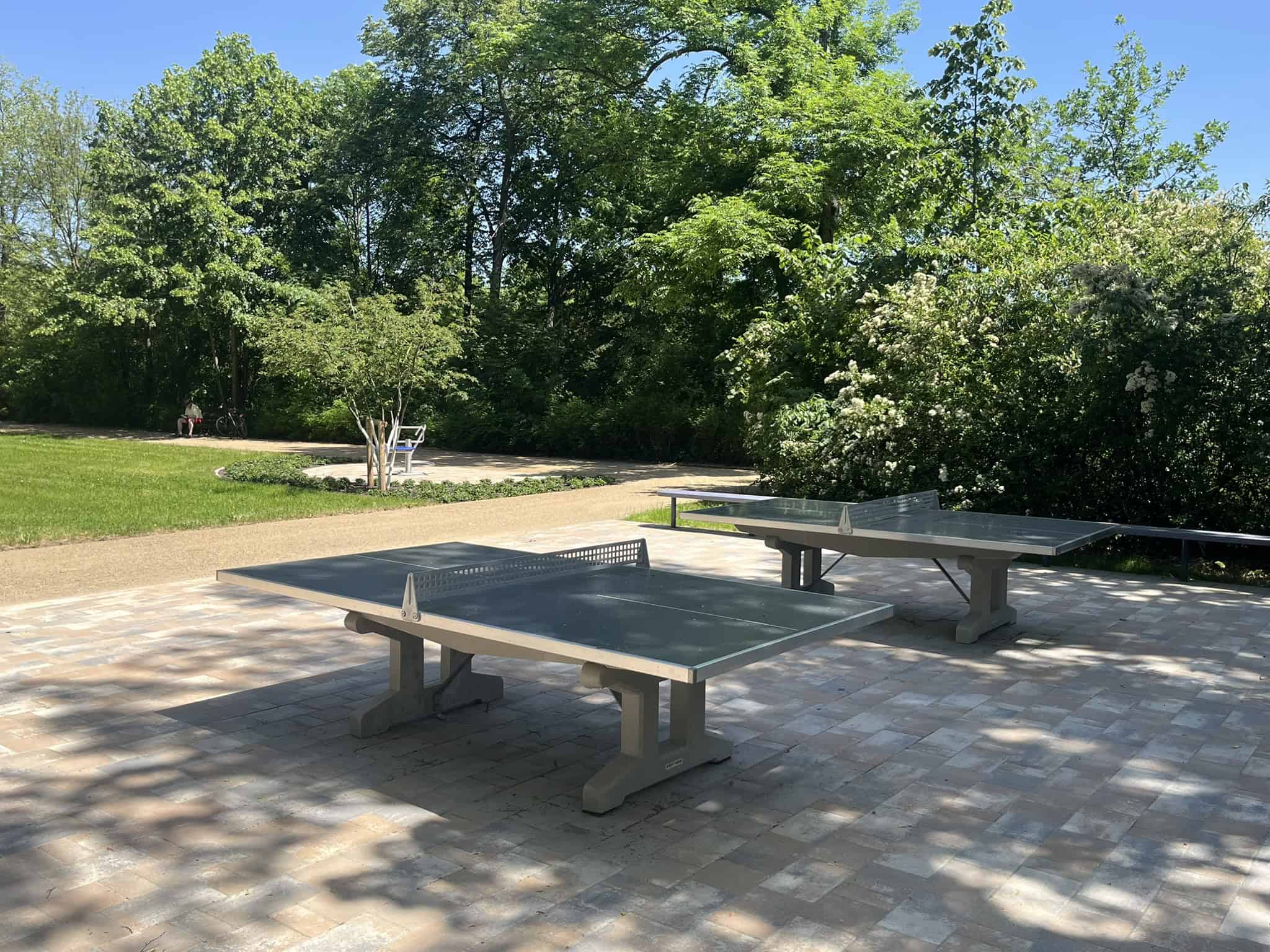 Tischtennis im sanierten Toeplerpark Tolkewitz Zwei neue Tischtennisplatten auf einer gepflasterten Fläche im Toeplerpark in Dresden-Tolkewitz, umgeben von Bäumen und Büschen.