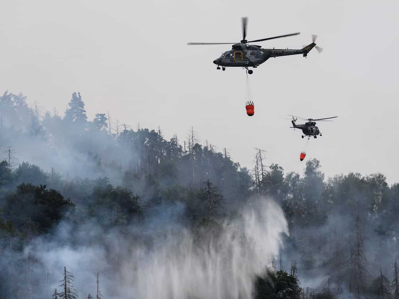 Waldbrand in Böhmischer Schweiz - Hubschrauber im Einsatz