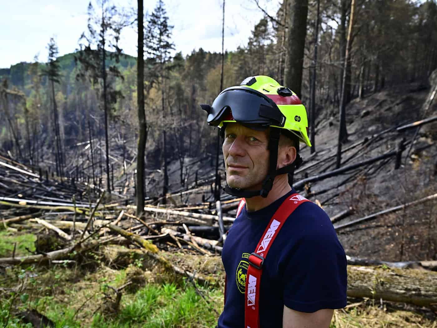 Waldbrand in tschechischem Nationalpark gilt als gelöscht