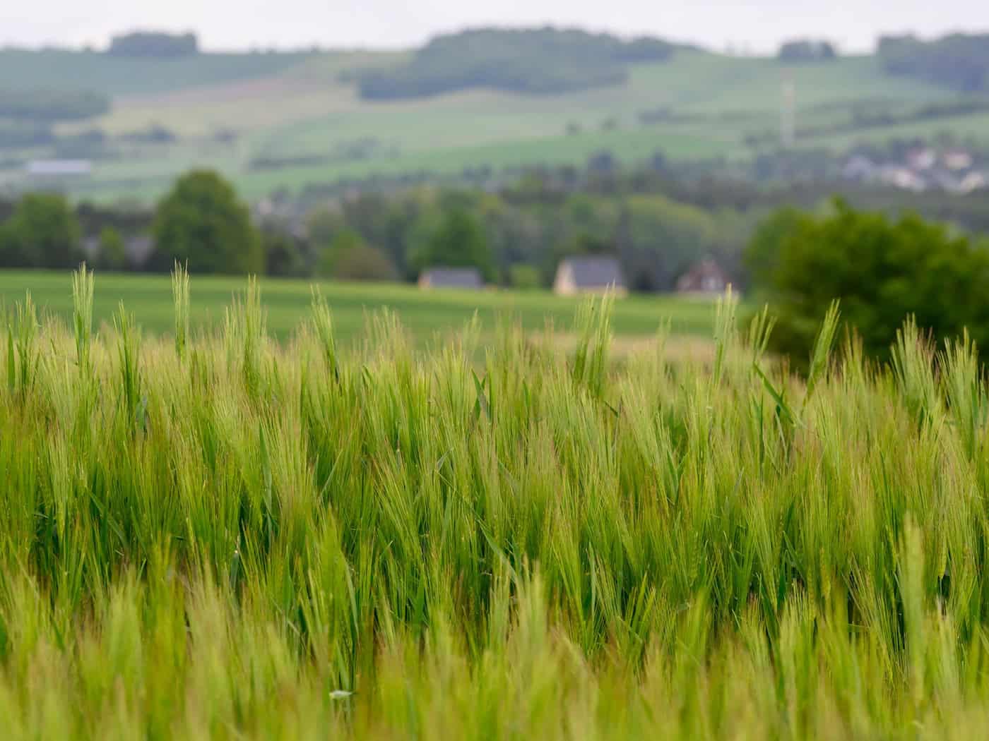 Wetterumschwung in Sachsen zum Wochenende