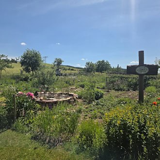 Naturgarten