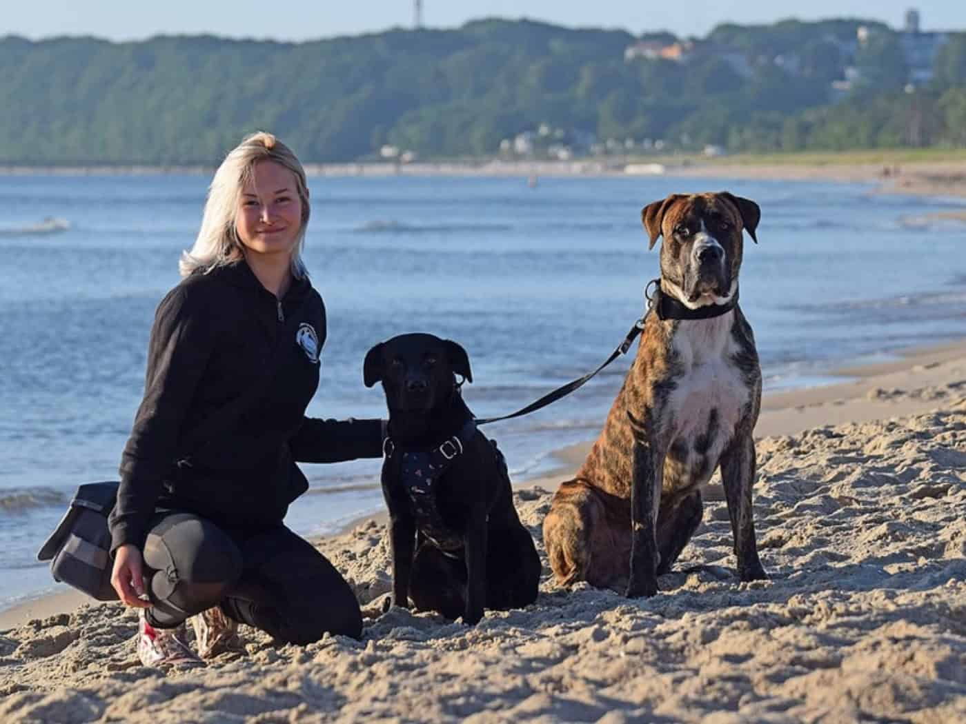 Foto: eine junge Frau mit blonden Haaren und sportlicher Kleidung hockt am Sandstrand mit zwei Hunden. Im Hintergrund sieht man Wasser und eine grüne Landschaft mit Häusern.
