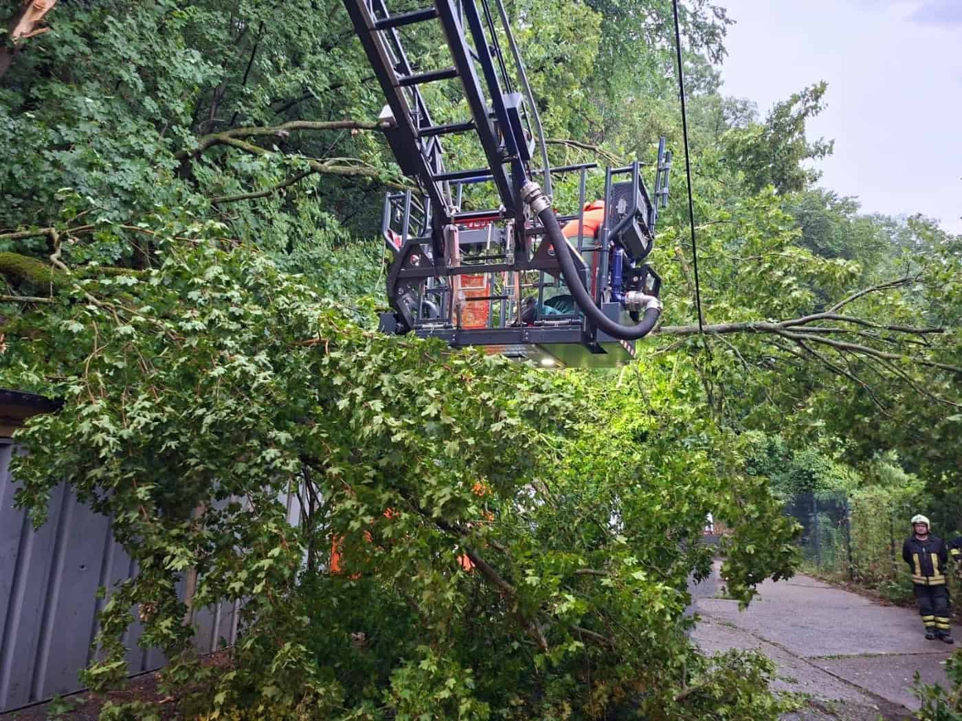Ast blockiert Fahrbahn in der Erlichtstraße