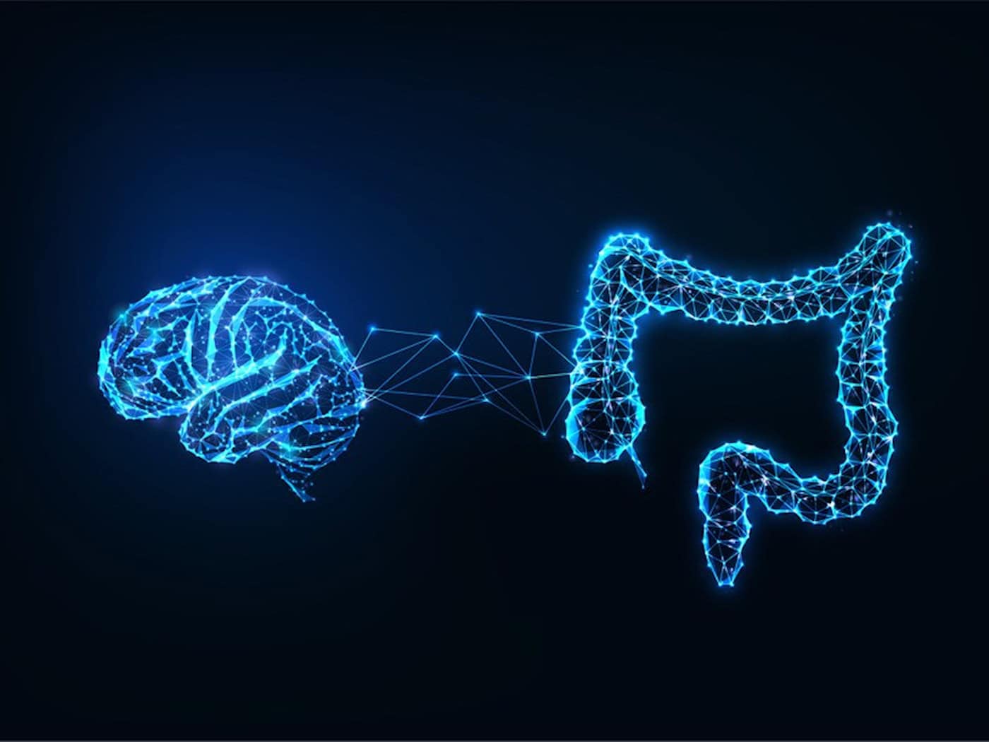 Immune system, intestinal bacteria, early childhood: The "nest" that protects the brain of a premature baby