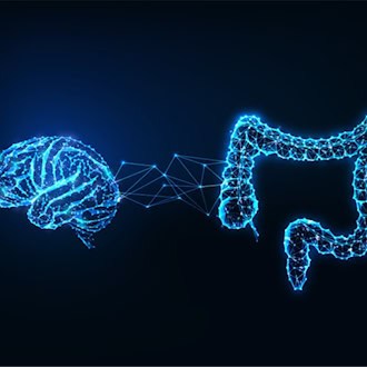 Immunsystem, Darmbakterien, frühe Kindheit: Das „Nest", das das Gehirn eines Frühgeborenen schützt