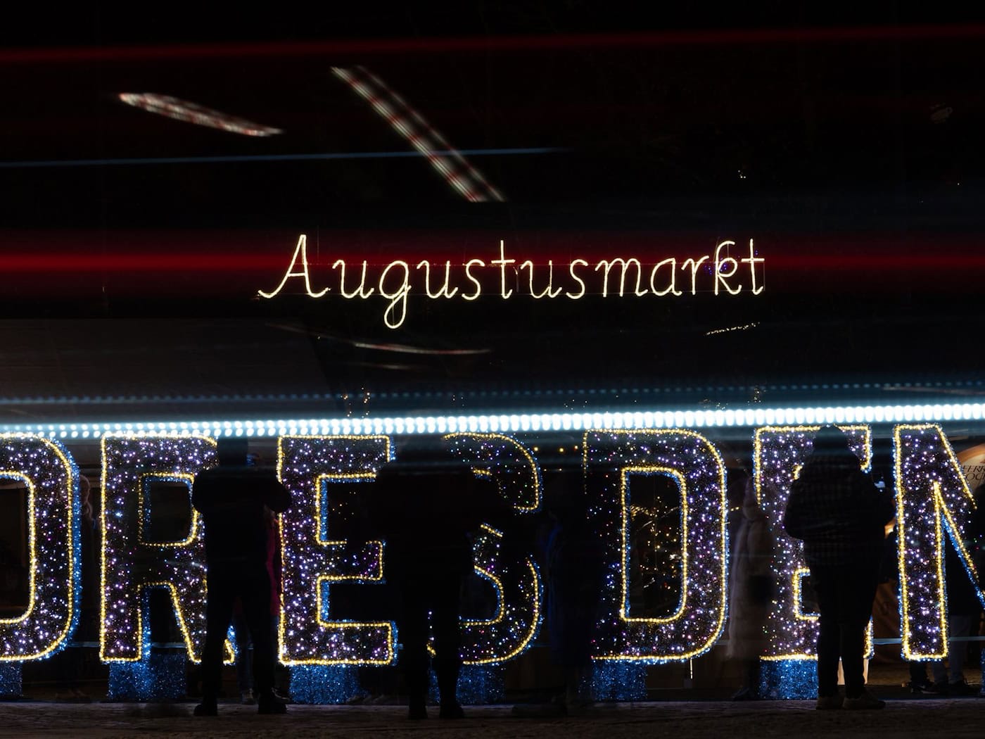 Hledají se stromky pro drážďanské vánoční trhy