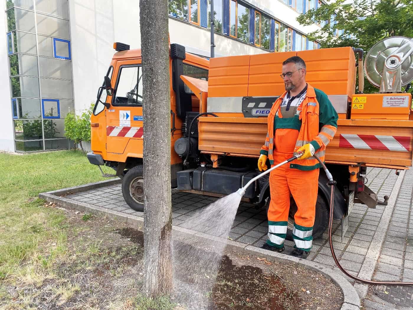 Coswig ruft Bürger zum Gießen von Stadtbäumen auf