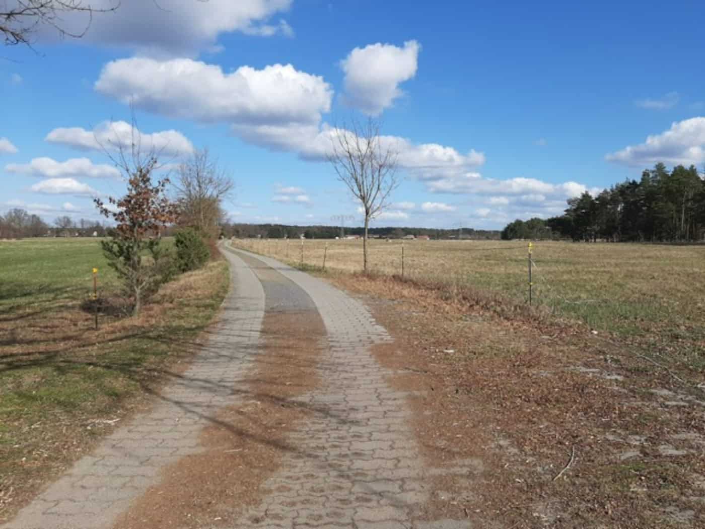 Foto: Ein gepflasteter Weg in einer Landschaft. Links und rechts Wiesen und einzelne unbelaubte Bäume. Der Himmel ist leicht bewölkt.
