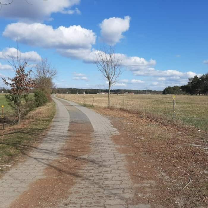 Foto: Ein gepflasteter Weg in einer Landschaft. Links und rechts Wiesen und einzelne unbelaubte Bäume. Der Himmel ist leicht bewölkt.