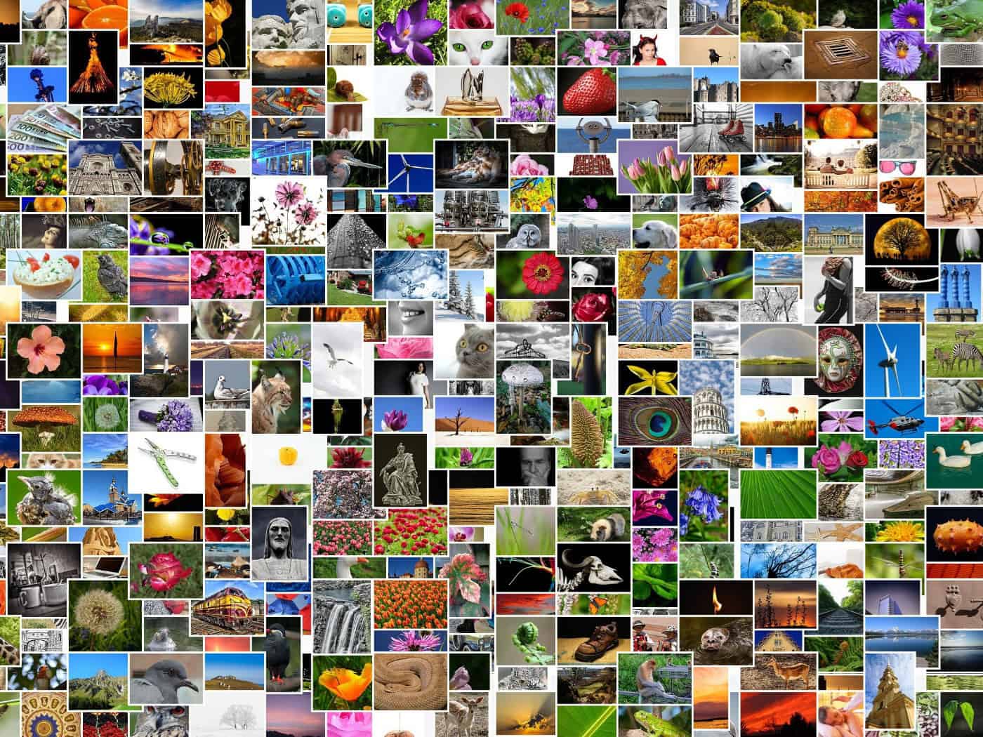 Images upon images – but which ones are real? Deepfakes – AI-generated fakes – are now virtually impossible to detect.