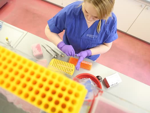 DNA isolation from a tissue sample: BioBank Dresden prepares biological material for medical research. © UKDD