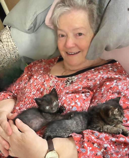 Eine Ältere Frau sitzt bequem zurückgelehnt, mit zwei Katzenbabys auf ihrem Bauch, und lächelt in die Kamera