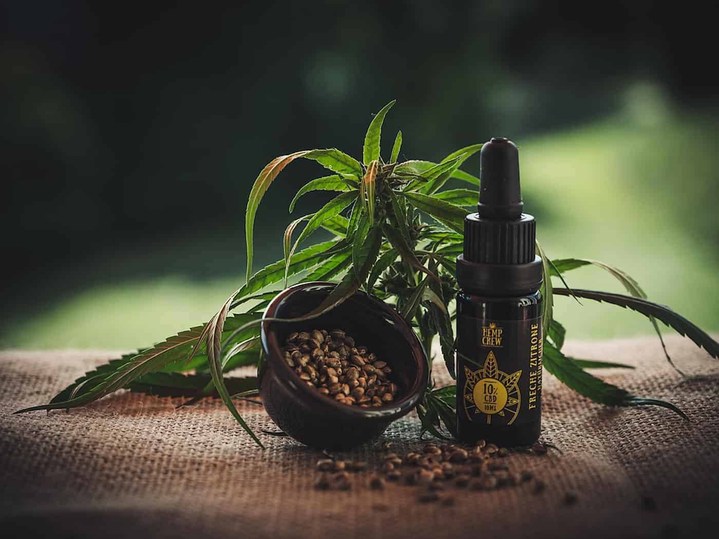 Tschechische Polizei beschlagnahmt 86.000 CBD- und Kratom-Produkte
