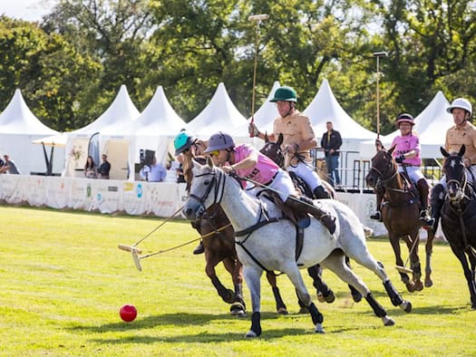 Polo-Spiel