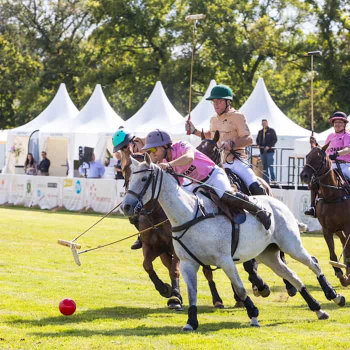 Polo-Spiel