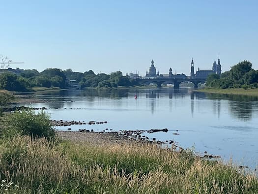Blick über das extreme Niedrigwasser der Elbe auf die Silhouette der Dresdner Altstadt mit der Frauenkirche unter blauem Sommerhimmel. Im Vordergrund liegt eine breite, steinige Kiesbank komplett trocken.