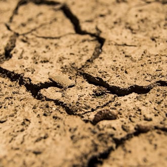 Klimawandel zwingt Tschechien zu schnellerem Umdenken beim Wasser