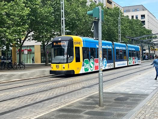 Eine moderne, gelb-blaue Straßenbahn der Linie 12 fährt auf Schienen an einer Allee mit grünen Bäumen und hellen Wohngebäuden vorbei. Im Vordergrund steht ein grauer Ampelmast.