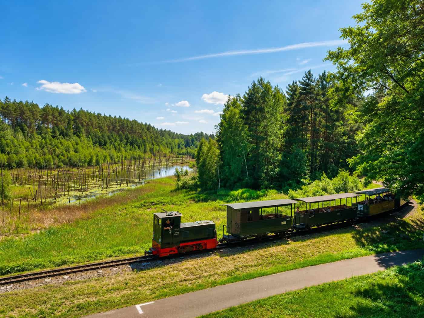 Eine kleine Schmalspur-Diesellok zieht mehrere offene Personenwagen durch eine waldige Landschaft, im Hintergrund eine überflutete Senke