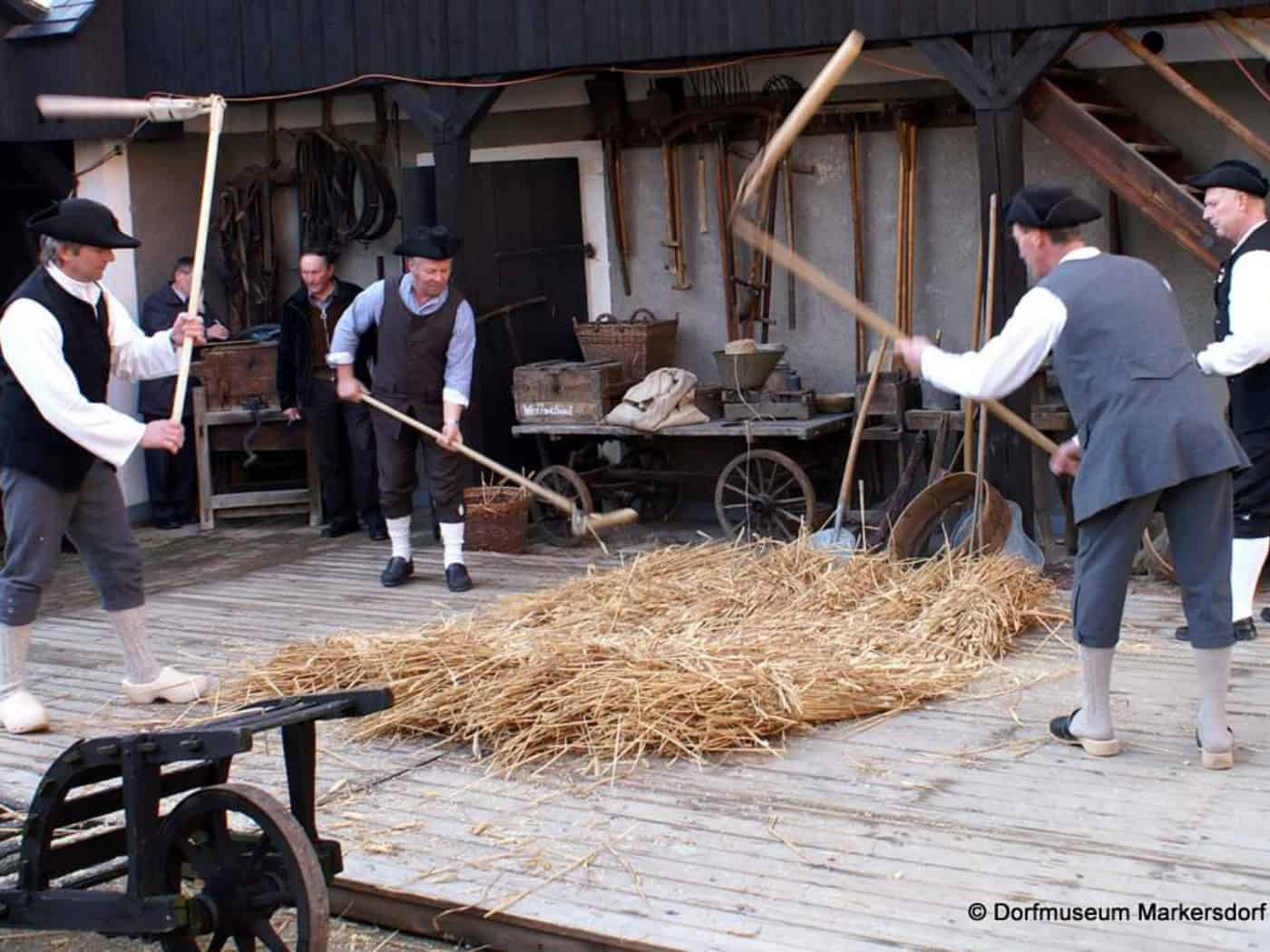 Foto: Auf einem Holzboden liegt Stroh, auf das vier Männer in historischer Kleidung mit Dreschflegeln schlagen. Im Hintergrund hängen an der Hauswand traditionelle hölzerne Werkzeuge.