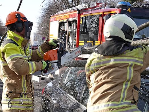 Zwei Feuerwehrleute in Schutzkleidung zersägen mit einer Motorsäge einen dicken Baumstamm, der auf einem schwarzen Auto liegt. Im Hintergrund steht ein rotes Löschfahrzeug der Feuerwehr Dresden.