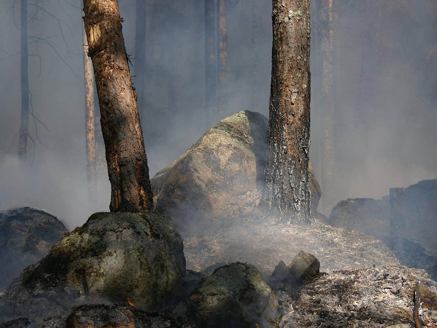 Waldbrand in Hoyerswerda: Polizei warnt vor erhöhter Gefahr