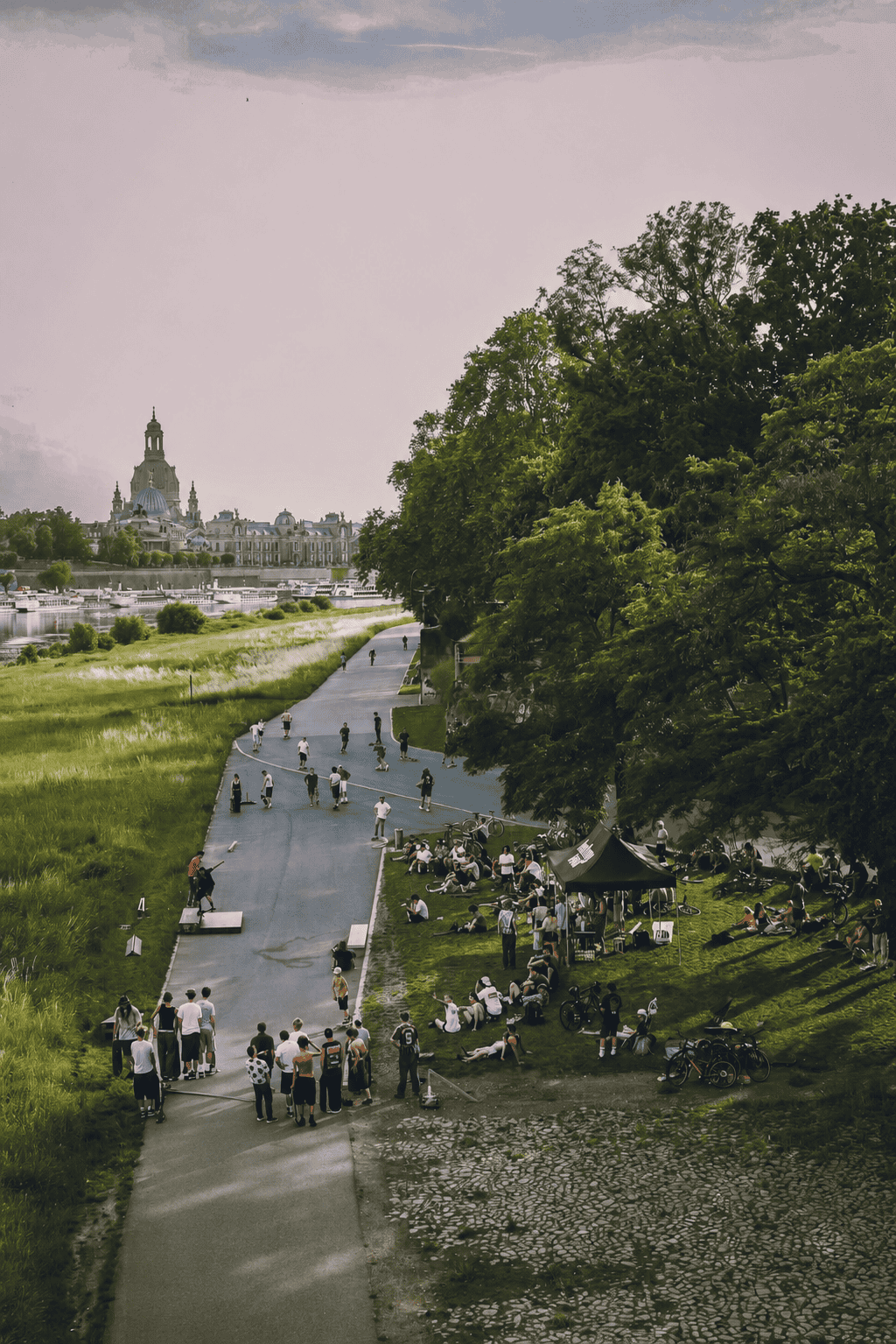 Erhöhte Fernansicht des asphaltierten Elberadwegs in Dresden. Auf der angrenzenden Wiese haben sich zahlreiche Menschen im Schatten großer Bäume und um ein schwarzes Pavillontreffen versammelt. Am linken Bildrand ist das Elbgestade zu sehen, im Hintergrund die historische Altstadtsilhouette.