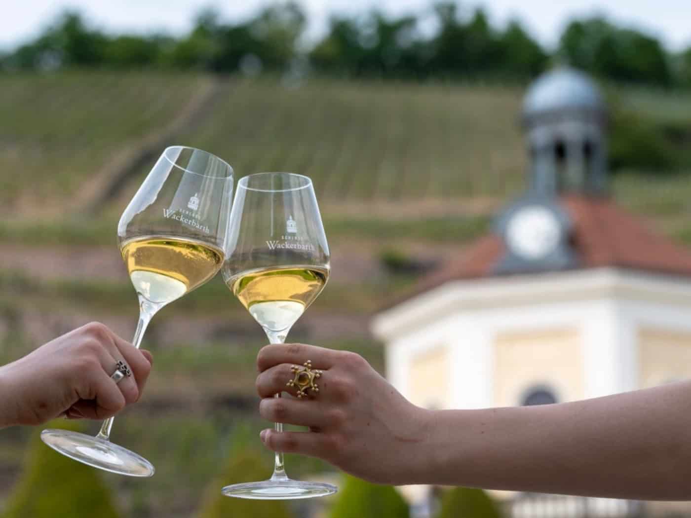 Schloss Wackerbarth holt neun Goldmedaillen bei Weinwettbewerben