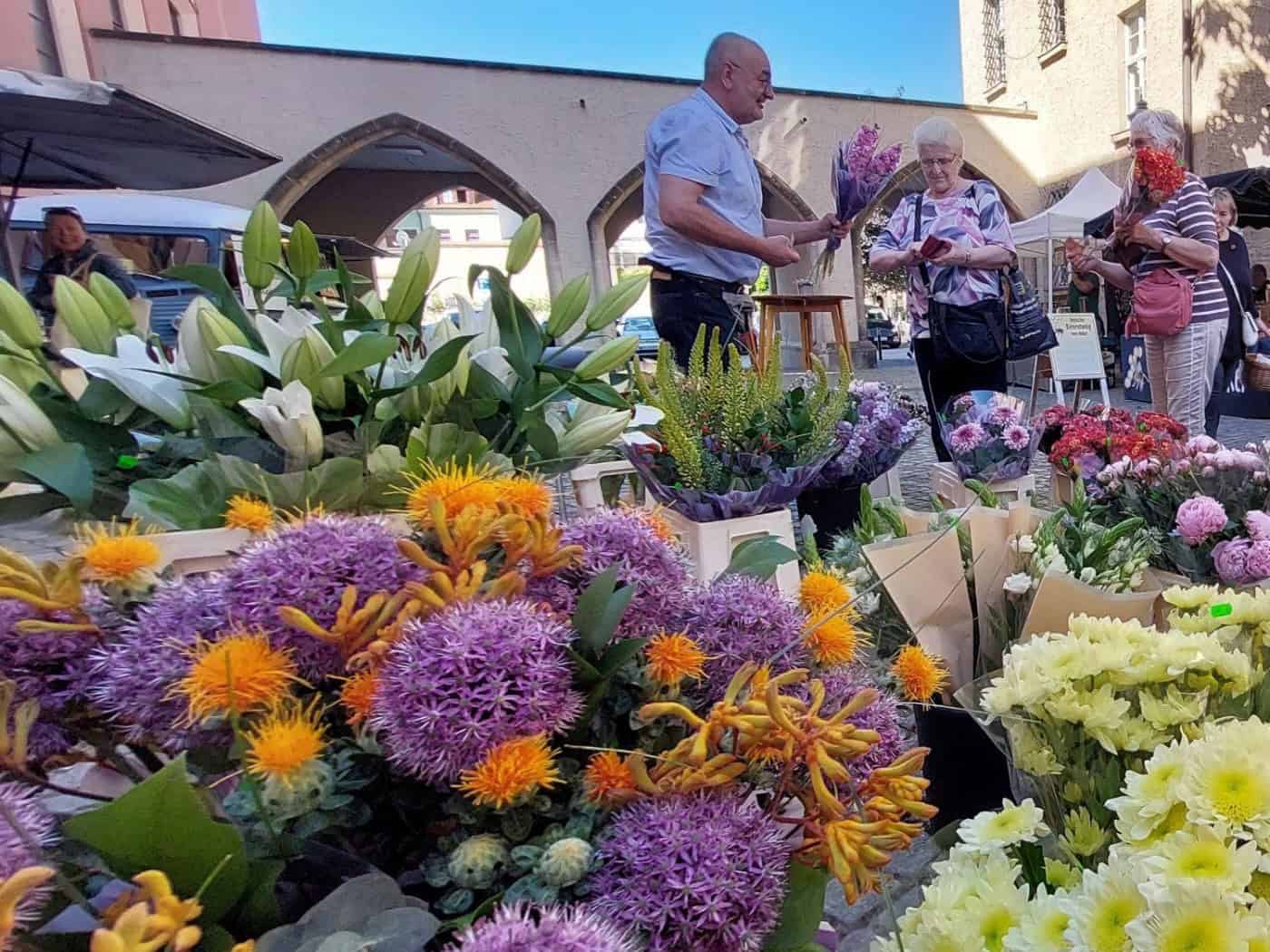 Frische Produkte und angenehme Temperaturen auf dem Meißner Grünmarkt
