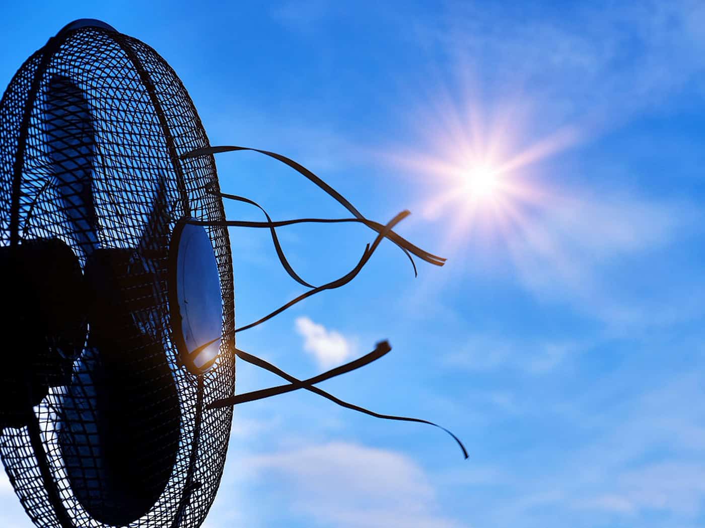 Hitzewelle erreicht Meißen: Stadt warnt vor Temperaturen bis 40 Grad