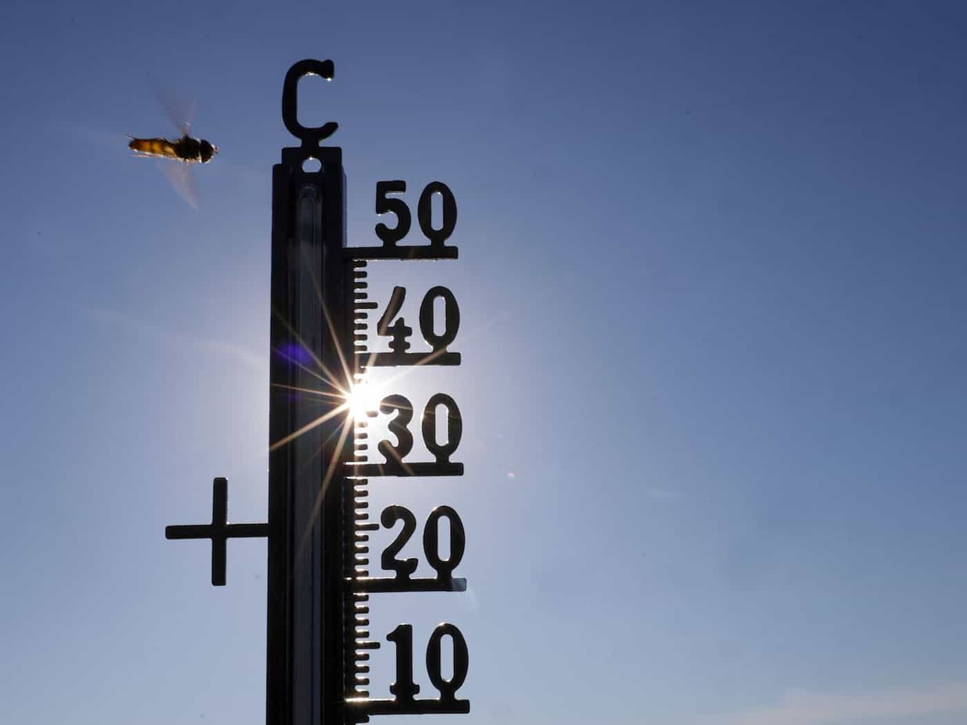 Hitzewochenende: Mehr Einsätze wegen Kreislaufbeschwerden