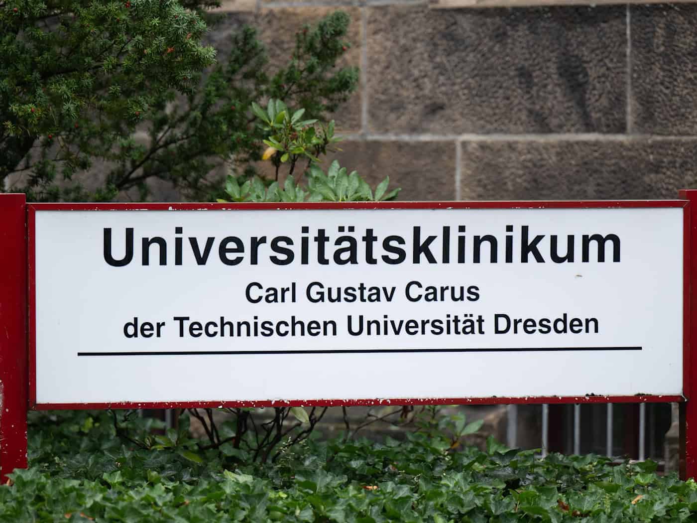 La medicina universitaria debate sobre investigación y populismo
