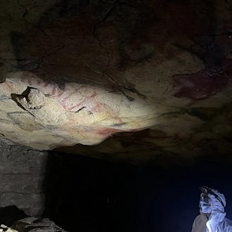 Die Höhlendecke von Altamira: Von hier stammen Pigmentproben, die auf uralte menschliche DNA untersucht wurden.