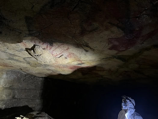 The ceiling of the Altamira Cave: Pigment samples from this site have been analyzed for ancient human DNA.
