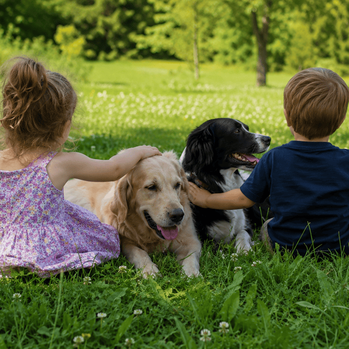 Researchers from Leipzig investigated why young children still stumble when using the plural and why this has to do with brain development.